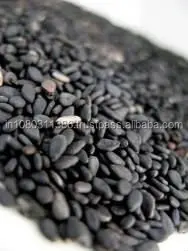 Содержание масла семян черного моря