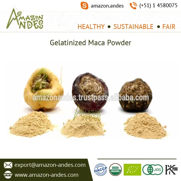 High Quality Peruvian Maca Root Powder at Wholesale Rate