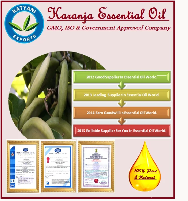 Top Selling Premium Quality Natural Karanja seed Oil from Top Supplier