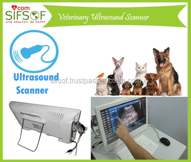 Popular Promotional Portable Veterinary Ultrasound Goat, Portable Ultrasound Scanner, SIFULTRAS-4.1