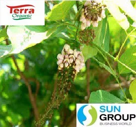 100% Karanja Oil obtained from pure karanja kernel by cold presseed extraction now available in 1000 ml