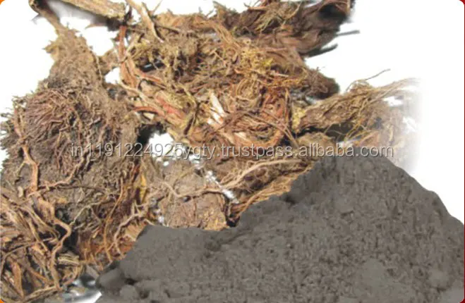 100% Pure High Quality Nagarmotha Essential Oil Nut Grass Oil Cypriol Oil From India