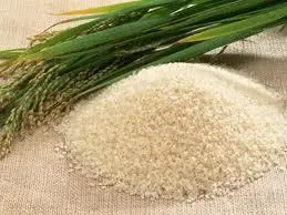 Wholesale High Quality Soft White Glutinous Rice Variety from Vietnam Best Supplier Contact us for Best Price