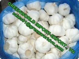 GARLIC WITH HIGH QUALITY AND CHEAP PRICE IN THE MAIN SEASON