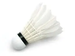 2021 Профессиональный бадминтонный мяч воланы для бадминтона с утиными перьями помещений