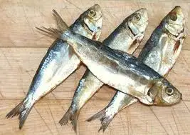 
DRIED HERRING - SARDINELLA ( Sardinella Gibbosa ) 
