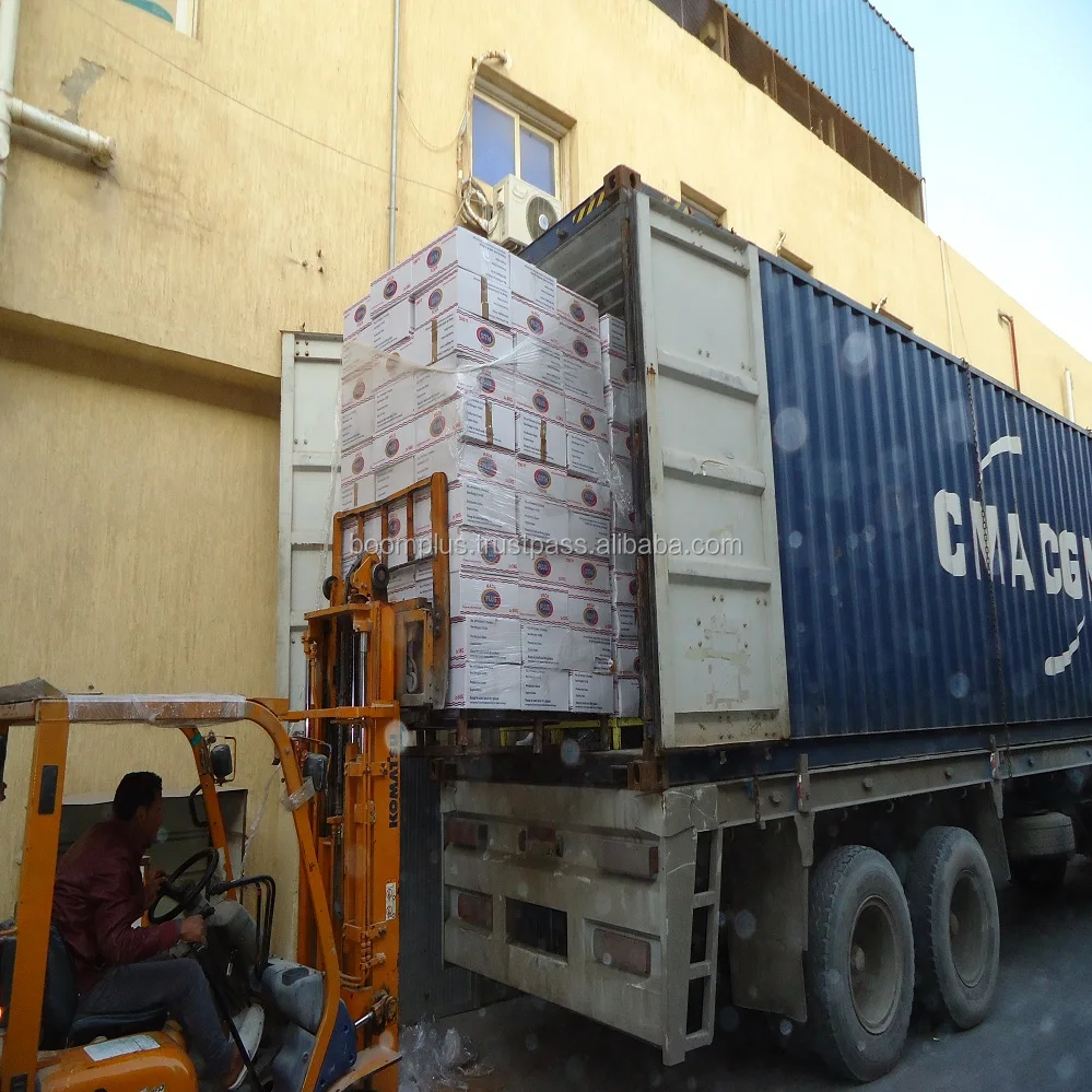 Short Cut Dry Pasta 5 kg Durum Wheat Mada Plus Brand Pasta Egyptian Product Penne Fusilli