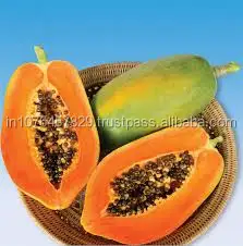 
COST OF PAPAYA SEEDS - MARUTI RED GLORY F1 