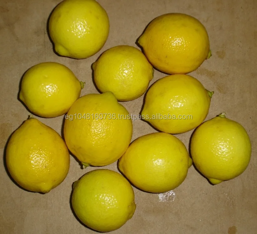 Fresh lemon Adalia