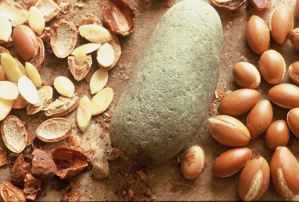 Марокканское органическое аргановое масло для волос лица тела и ногтей Экстра натуральное холодного прессования Лучший в мире