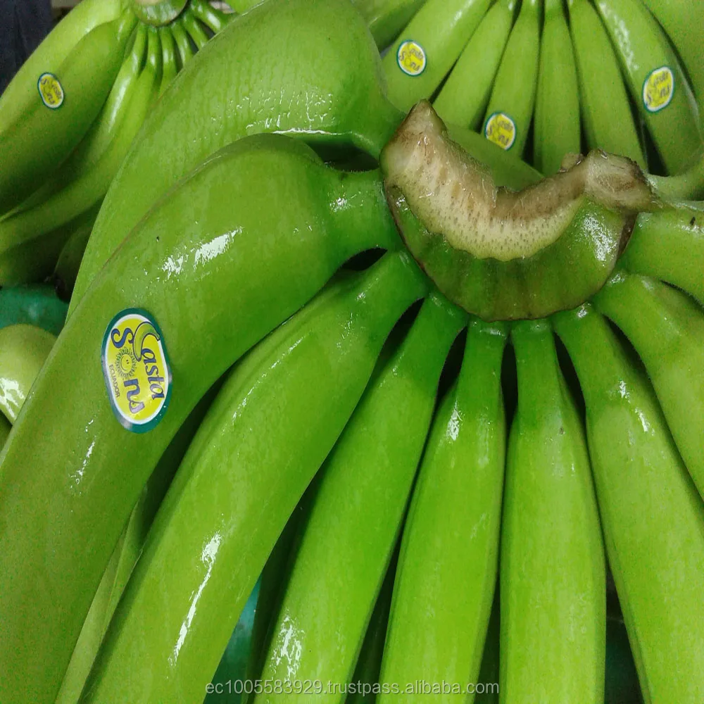ECUADORIAN BANANAS PREMIUM