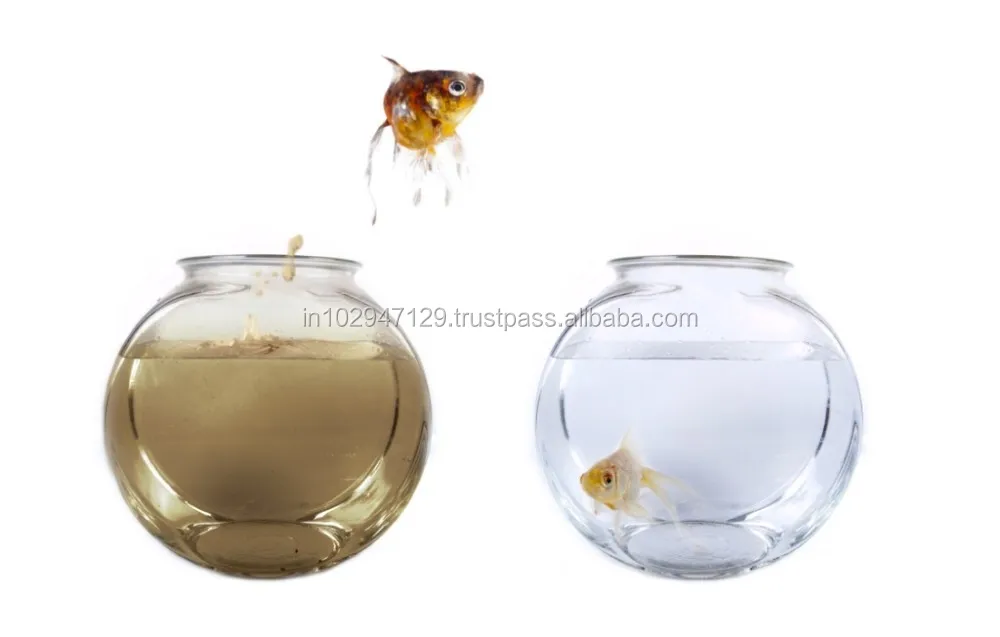 Биологический продукт для здоровых и активных аквариумных рыб