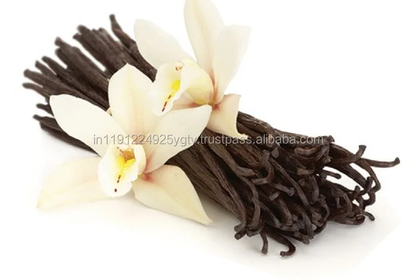 VANILLA OIL / VANILLA ESSENTIAL OIL ( FRAGRANCE OIL ) HIGH QUALITY