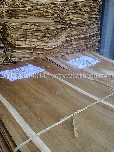 Acacia Vietnam wood core for manufacturing Plywood, OSB, LVL