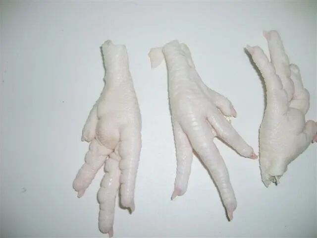 HALAL PROCESSED CERTIFIED FROZEN CHICKEN FEET & PAWS FROM MANUFACTURER