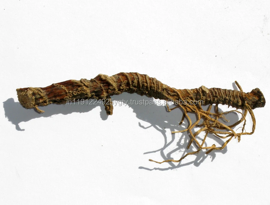 100% Natural Aromatic Essential Oil Calamus Root Oil Best Price Wholesale