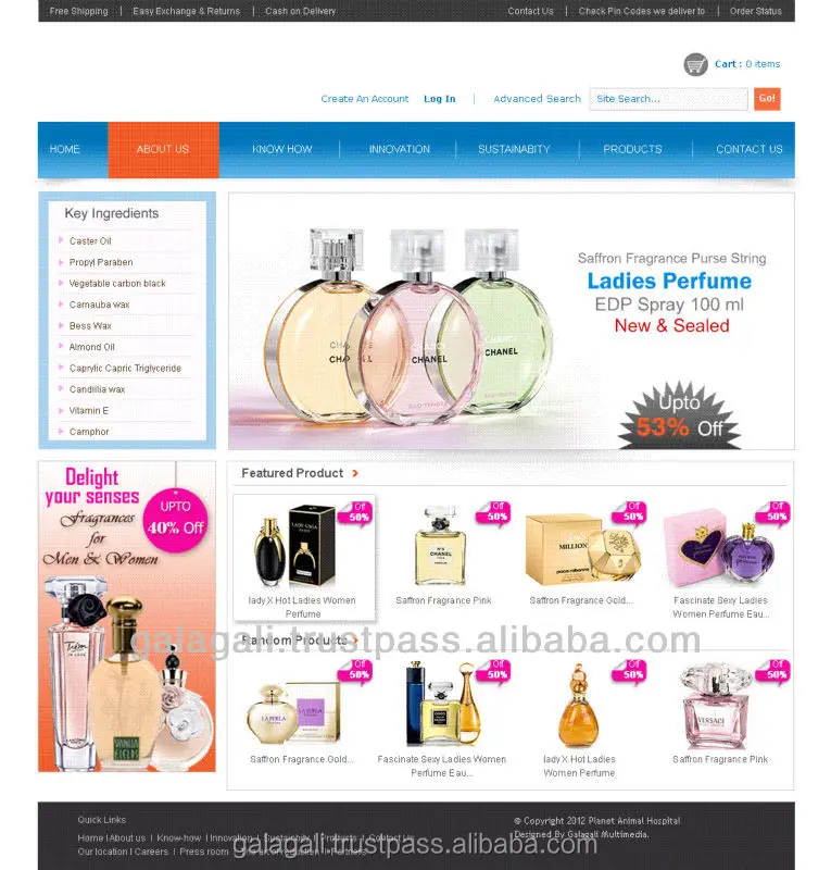 
Mobile Friendly Business Website Redesigning and ReDeveloping Service from India 