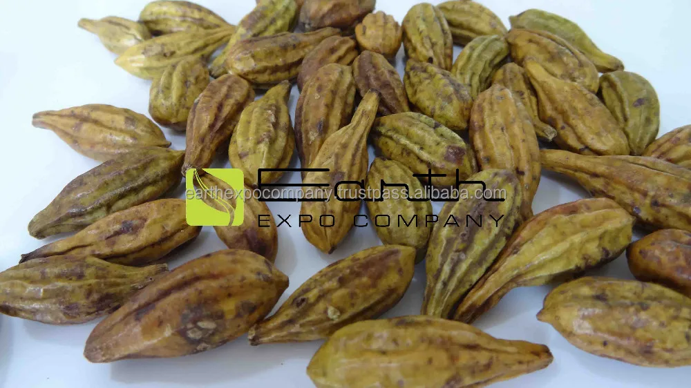 Индийские семена харитаки