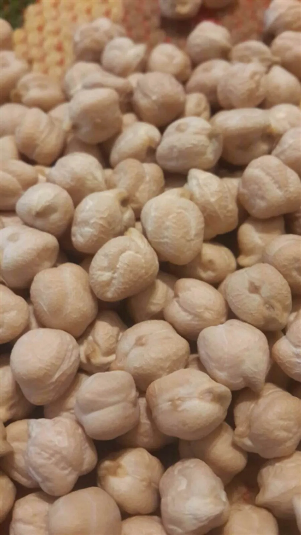 
chickpeas 7mm 8mm 9mm 10mm 