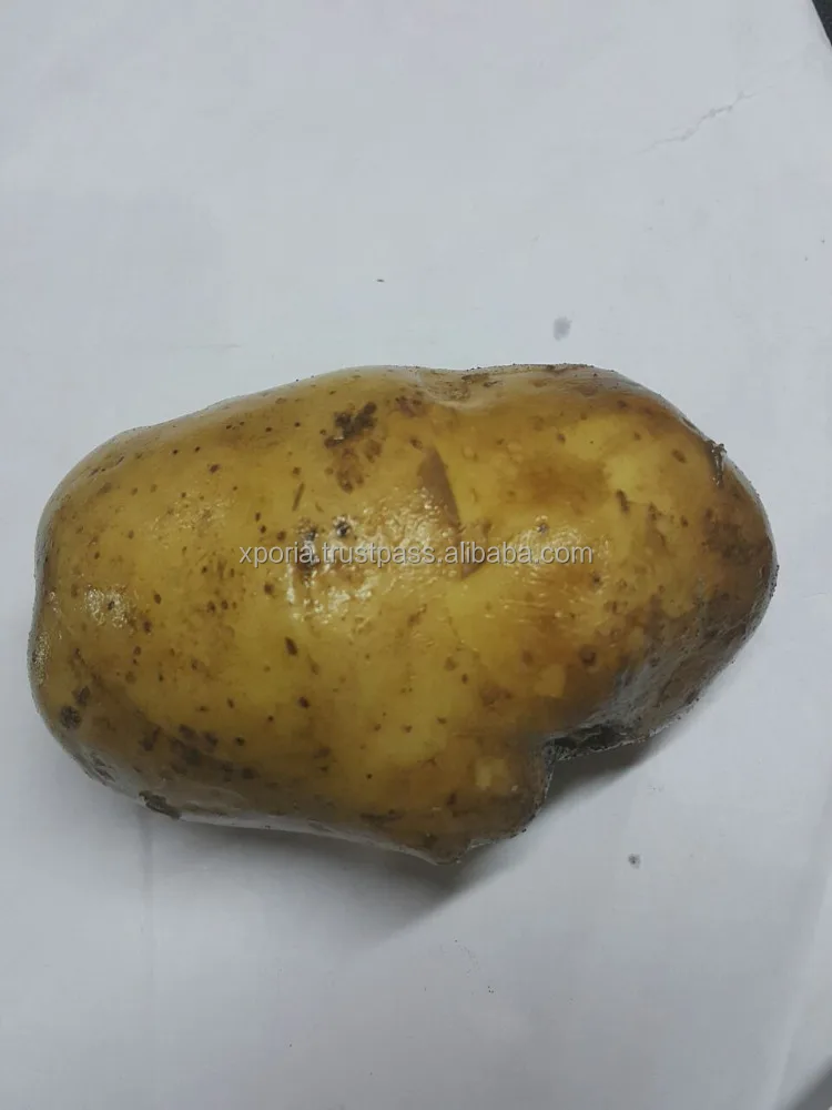 POTATO Unprocessed WHITE | Indonesia Origin