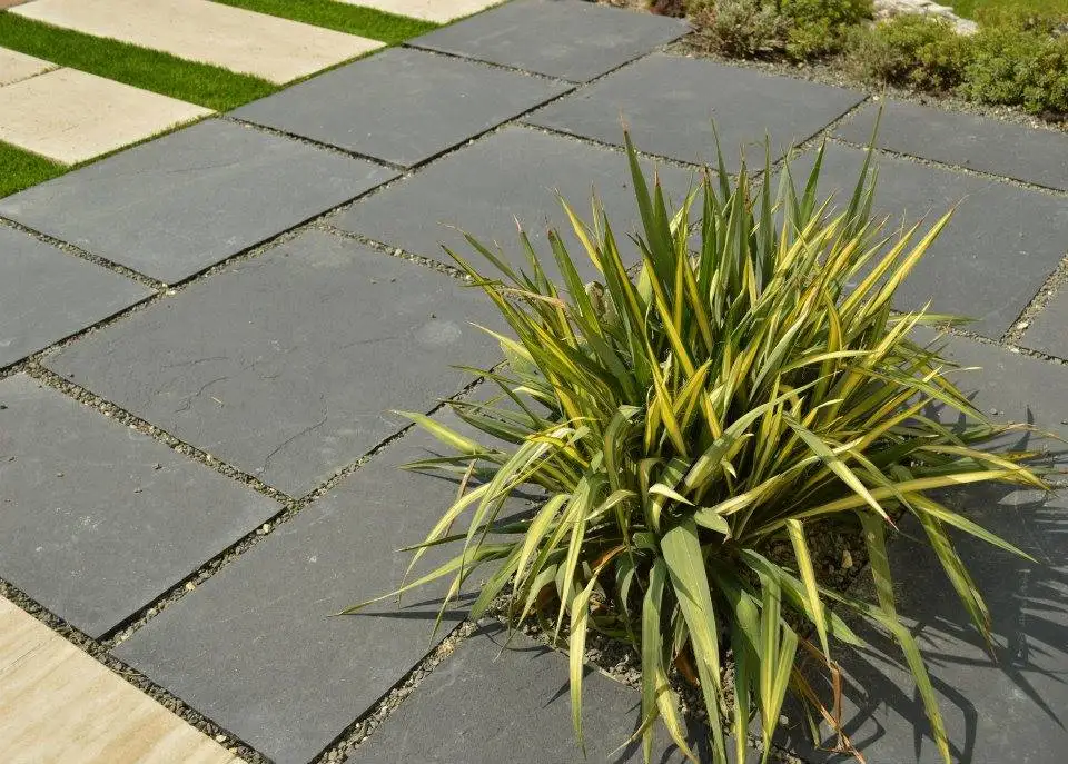 
Kadappa Midnight Black Limestone india 