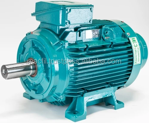 
BC W Series High Efficiency Induction Motor 