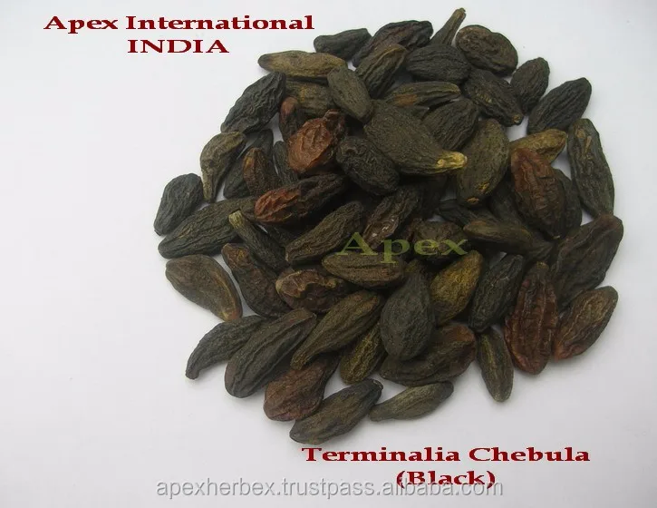 
Whole Fruit Terminalia chebula Black Himej Dried Apex 