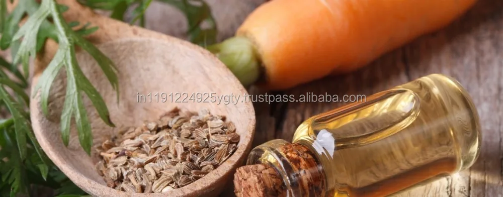 wholesale pure carrot seed oil Therapeutic Grade Essential Oil OEM/ODM