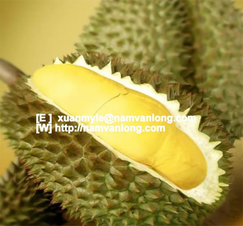 
TOP QUALITY! OFFER FRESH RI6 DURIAN FRUIT WITH HIGH QUALITY AND BEST PRICE 