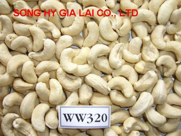 export ww320 vietnam cashew at the best price