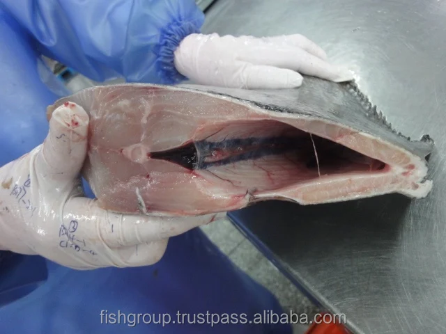 High Quality fish or Brama HG