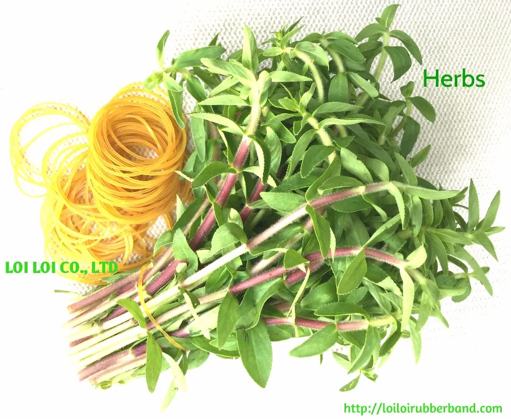 
100% pure Rubber band Elastic from Vietnam Factory for Sale / Coloured thick and wide rubber bands brighten color 