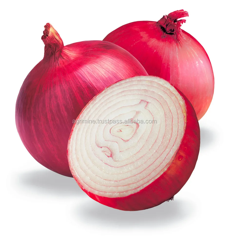 Red Big Onion from India