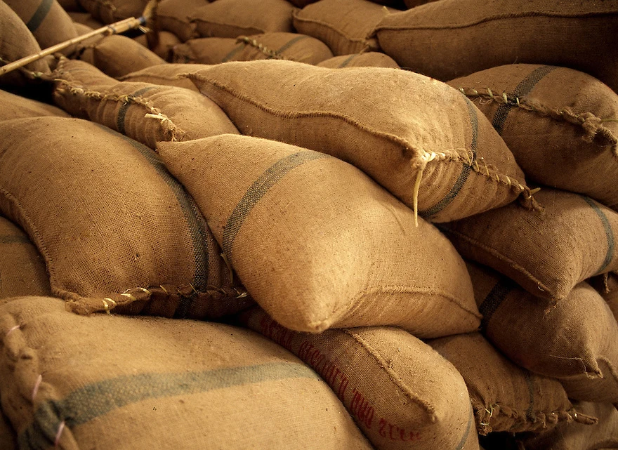 ARABICA COFFEE BEAN