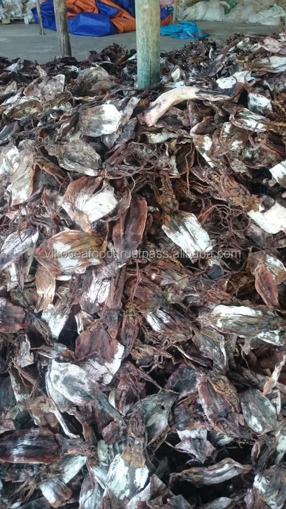 
DRIED BLACK SQUID FOR SALE 