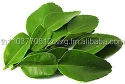 Dried Kaffir Lime Leaves 100% Natural Product of Thailand