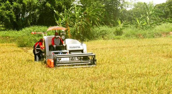 NEW JAPAN BRANCH COMBINE HARVESTER DC70 READY TO SELL EXPORT