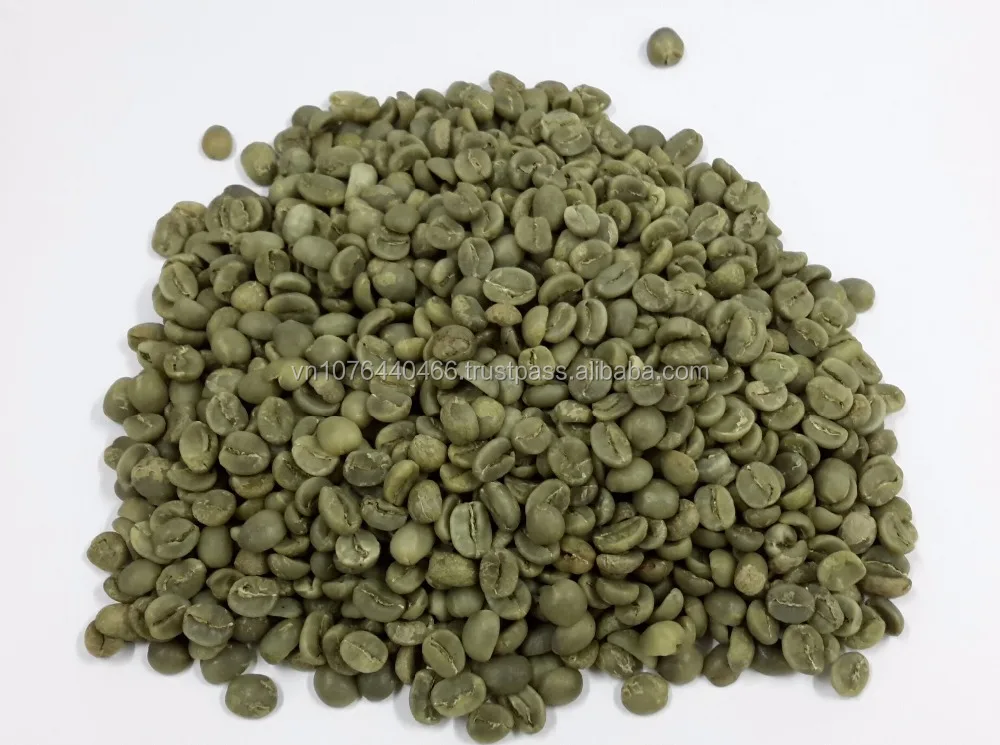 (+84 972678053 (whatsapp)) GREEN COFFEE BEAN ROBUSTA, ARABIA