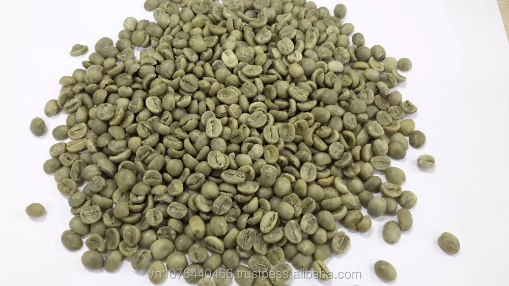 Вьетнамские зеленые кофейные зерна Robusta + 84 972678053 (whatsapp)
