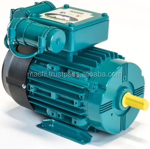 BC Induction Motor
