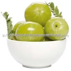 Hot Sale Amla berry Juice / Farm Direct sale / GMP Certified Manufacturer Indian Origin Amla Fruit Juice