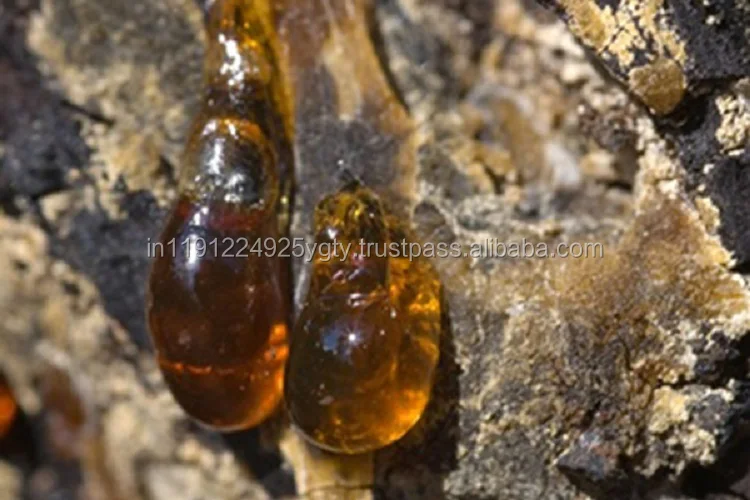 Therapeutic Grade Natural Benzoin Essential Oil Aromatherapy Diffuser Health Care