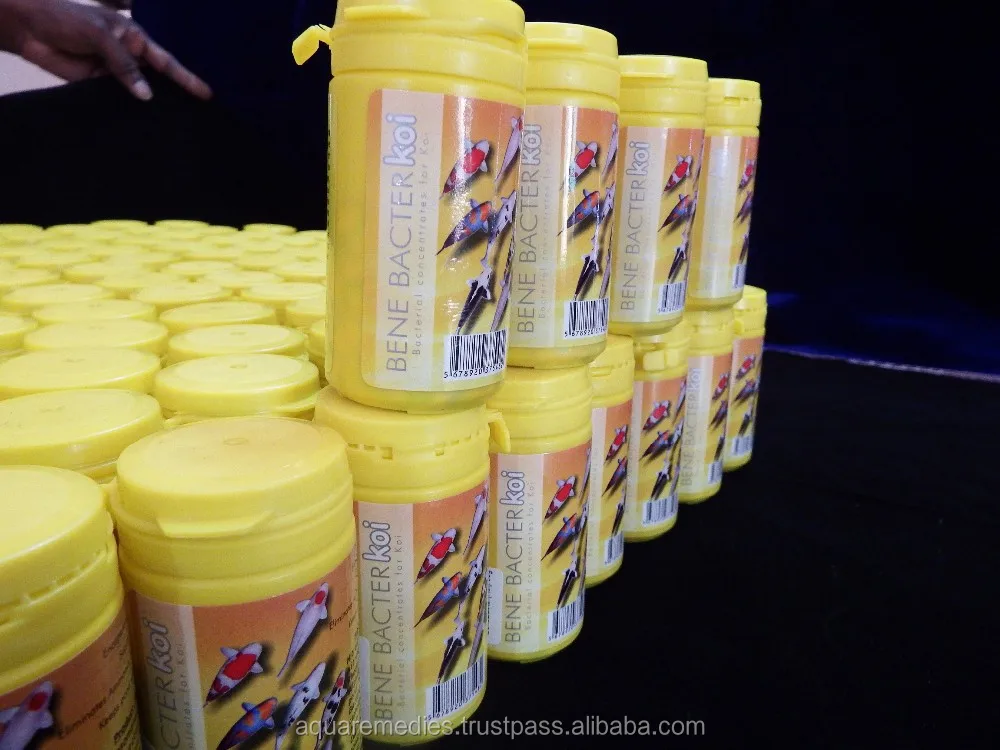 Eliminates Ammonia, Nitrite and Hydrogen sulphide / Beneficial Bacteria - BENEBACTER for aquarium and aquaculture purpose