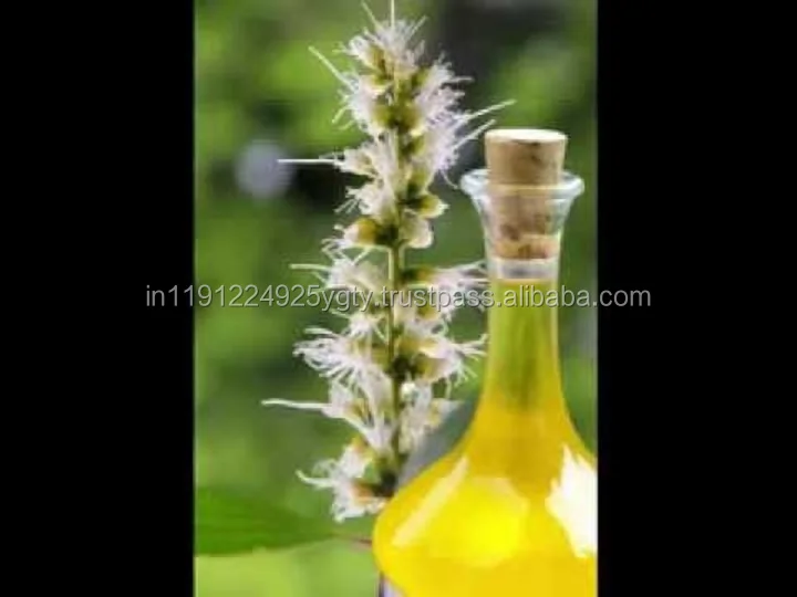 Wholesale Bulk Niaouli Essential Oil For Aromatherapy/Massage/Spa