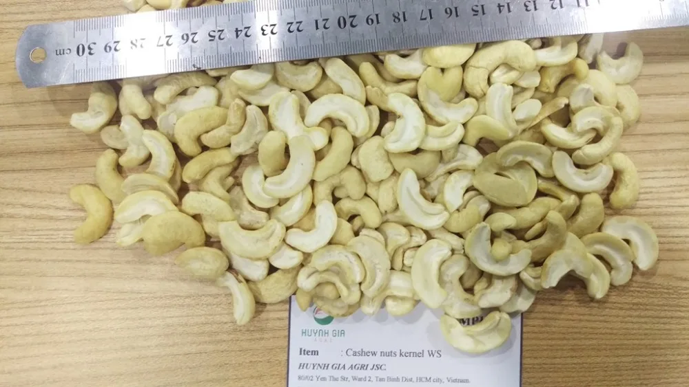 Raw Cashew Nuts WS Huynh Gia from Vietnam