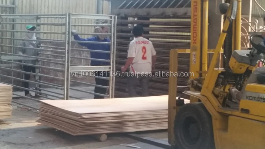 
ALIBABA VIETNAM MANUFACTURER DIRECTLY SUPPLY PLYWOOD/PACKING PLYWOOD 