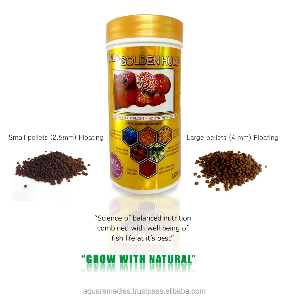 Цветок рог рыб подачи диких золотой горб - унас nutritioncal понятия - основная питания доступны