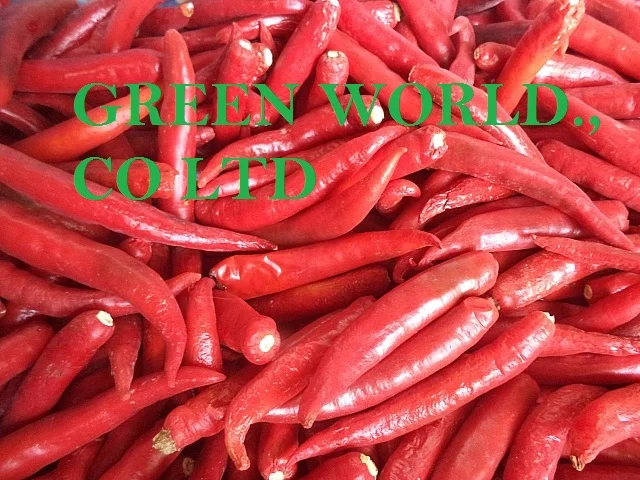 Fresh small/big chilli, attractive price from Green World for now