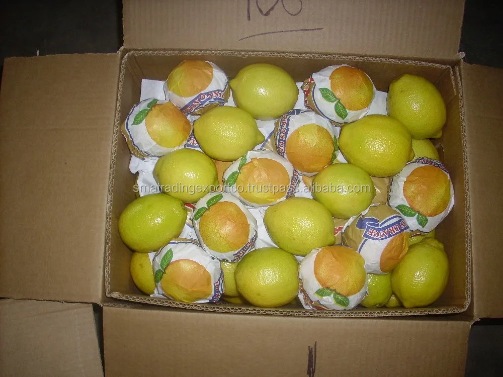 
Egyptian lemon 