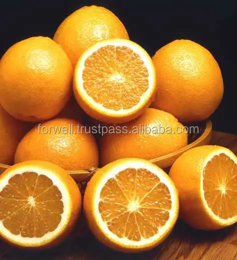 big size orange with high quality and good price with different package